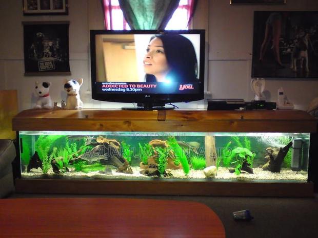 Bottom TV Aquarium Custom Made Aquarium - main view