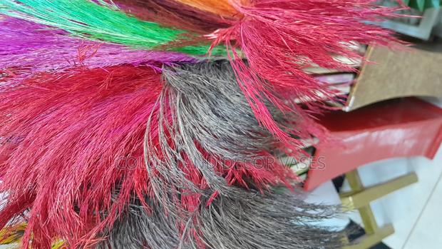 Pampas Grasses Available - main view