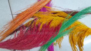 Pampas Grass KSH 150 a Bunch - thumbnail 2