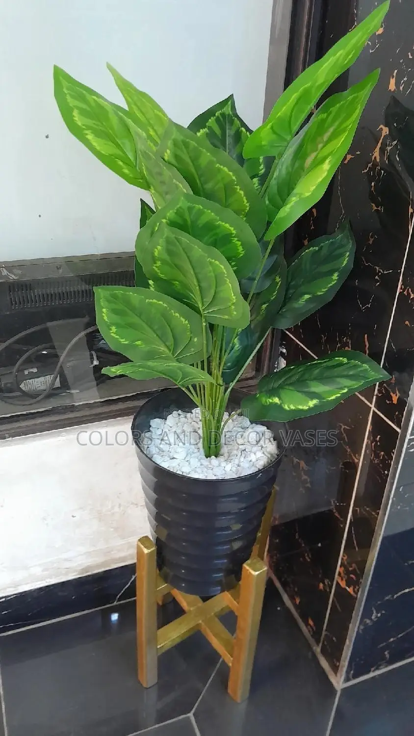 Plant; Vase on Stand