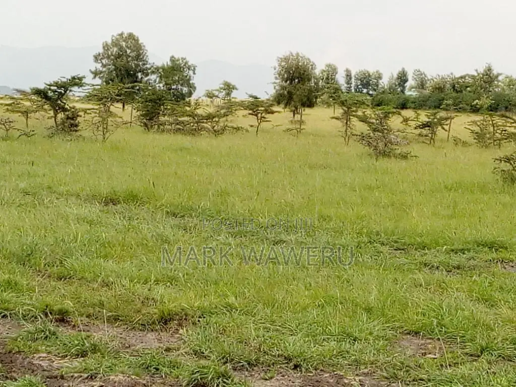 Land for Sale Oletepesi, Kajiado County