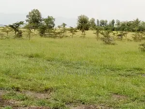 Land for Sale Oletepesi, Kajiado County