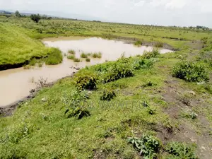 Land for Sale Oletepesi, Kajiado County