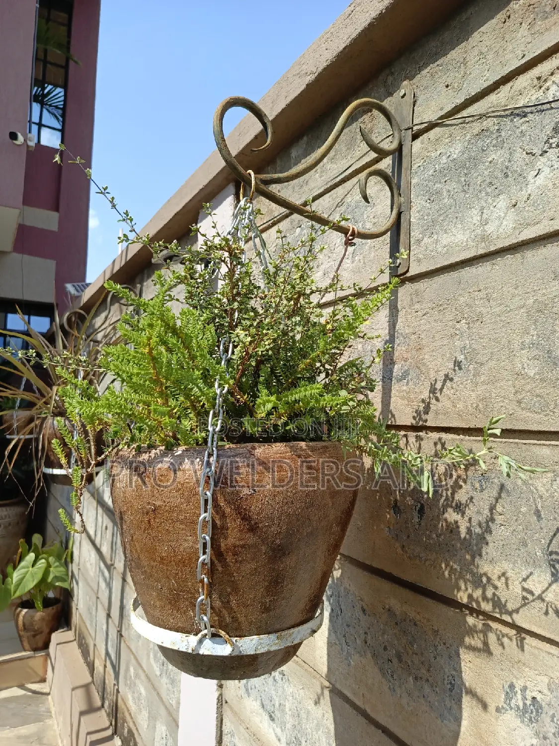 Wall Mounted Flower Vase Holder