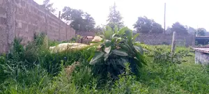 Commercial Plot for Sale Tigoni Kiambu County