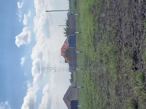 Jujasprings Phase 2^ PWWW - thumbnail 2