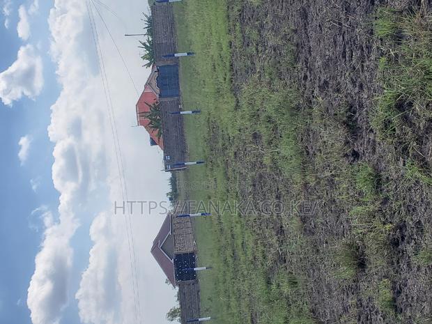 Jujasprings Phase 2^ PWWW - thumbnail 3