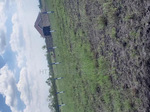 Jujasprings Phase 2^ PWWW - thumbnail 4