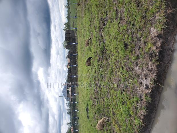 Jujasprings Phase 2^PWG - thumbnail 4