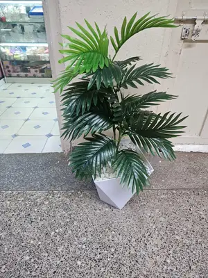 Palm Tree, Plastic Vase or Basket With Pebble Stones