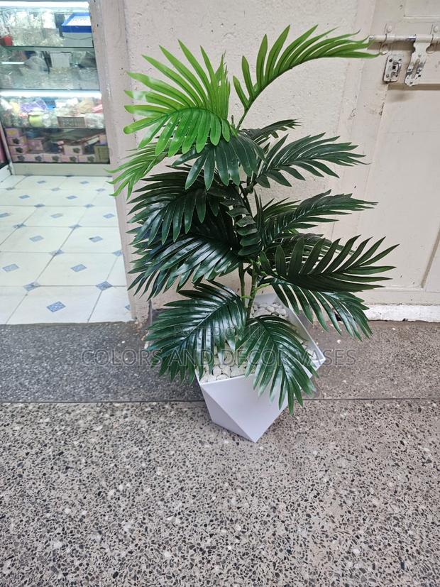 Palm Tree, Plastic Vase or Basket With Pebble Stones - main view