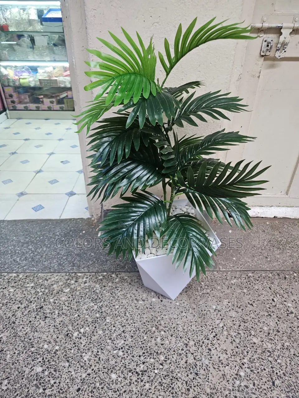 Palm Tree, Plastic Vase or Basket With Pebble Stones