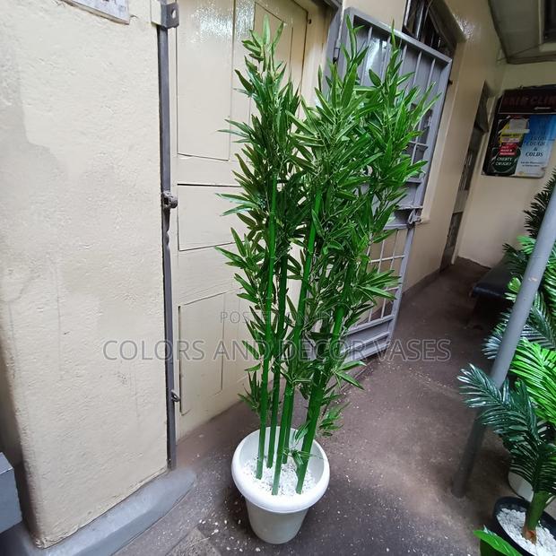 Green Stem Bamboo Sticks 1.6m - main view