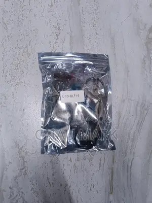 Panasonic Lumix DMW BLF19 USB Dummy Battery