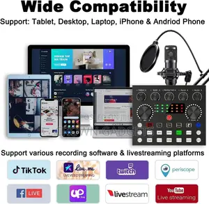 Bm800 V8 Sound Card Set Professional Audio Condense