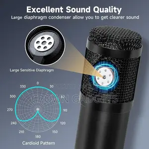 Bm800 V8 Sound Card Set Professional Audio Condense