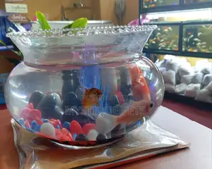 Fish- Bowl