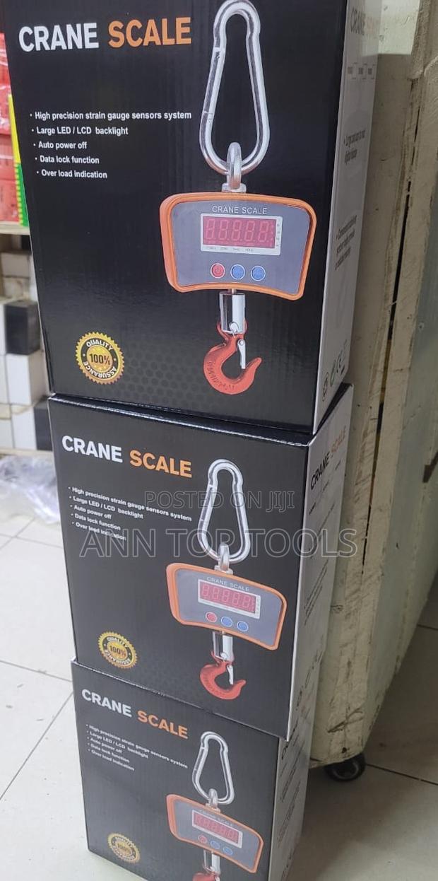 500kg Mini Crane Scale - main view