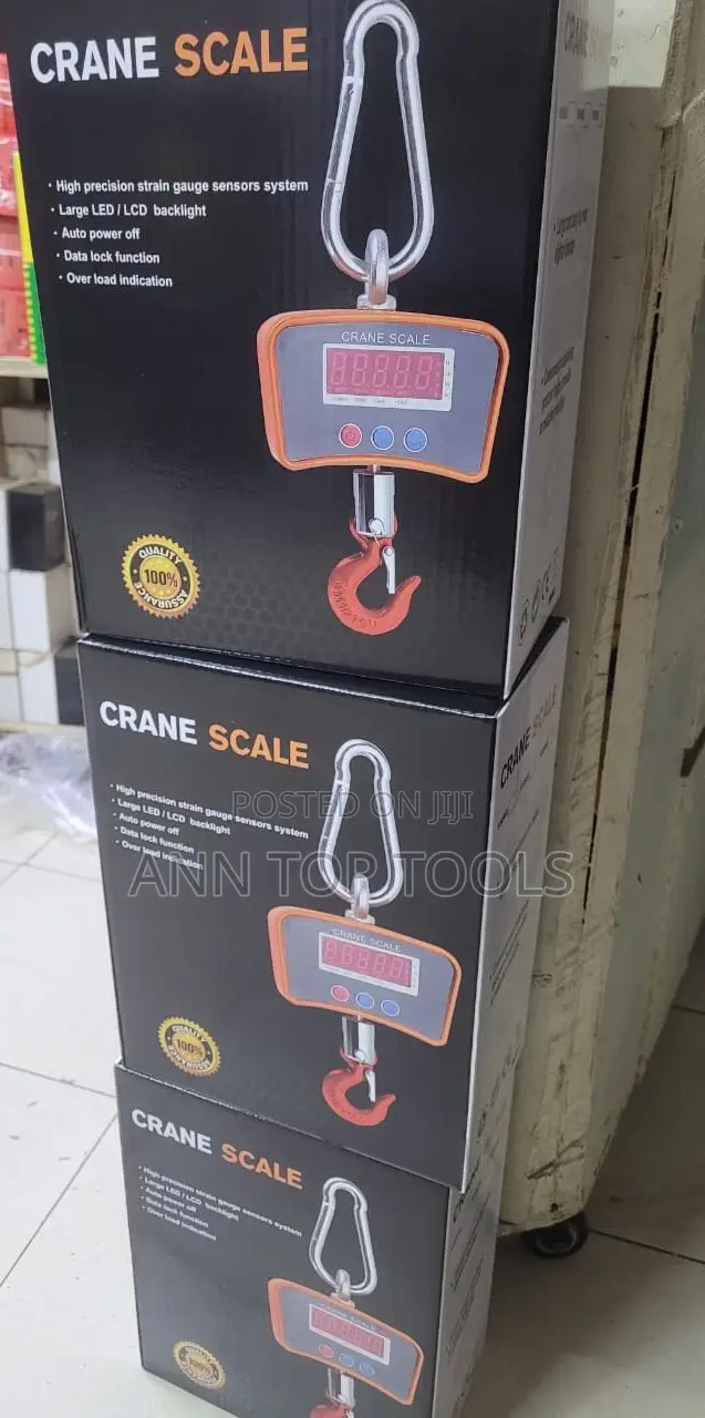 500kg Mini Crane Scale