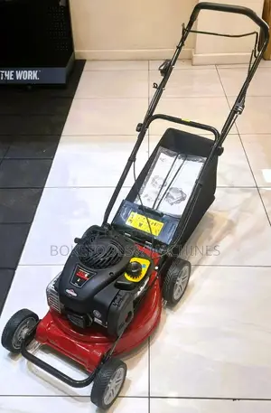 WYS21 Briggs and Stratton 21 Inches 6hp Self Propelled 161cc