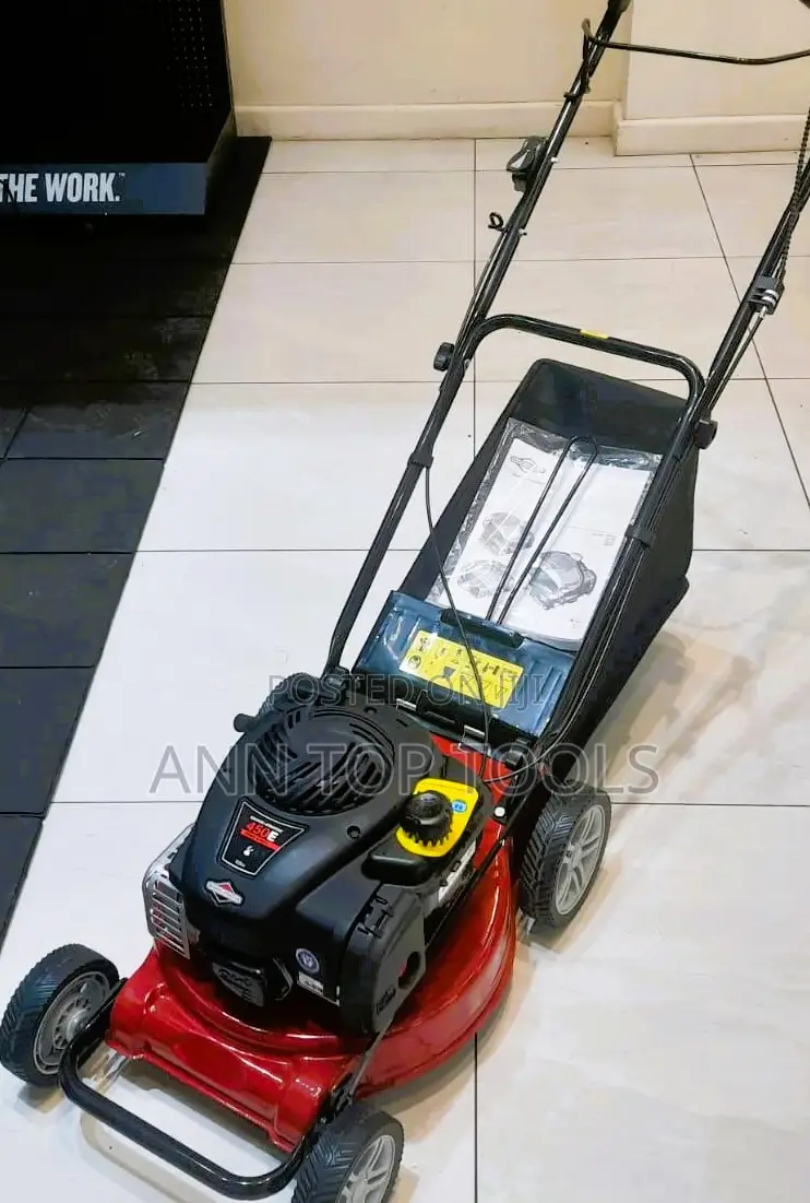 Powered by a Robust 6hp 161cc Briggs Stratton Engine, This