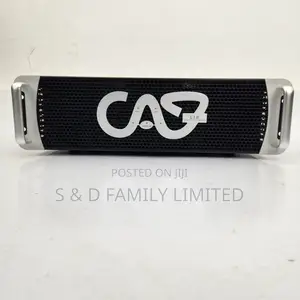 CAF L18 Power Amplifier