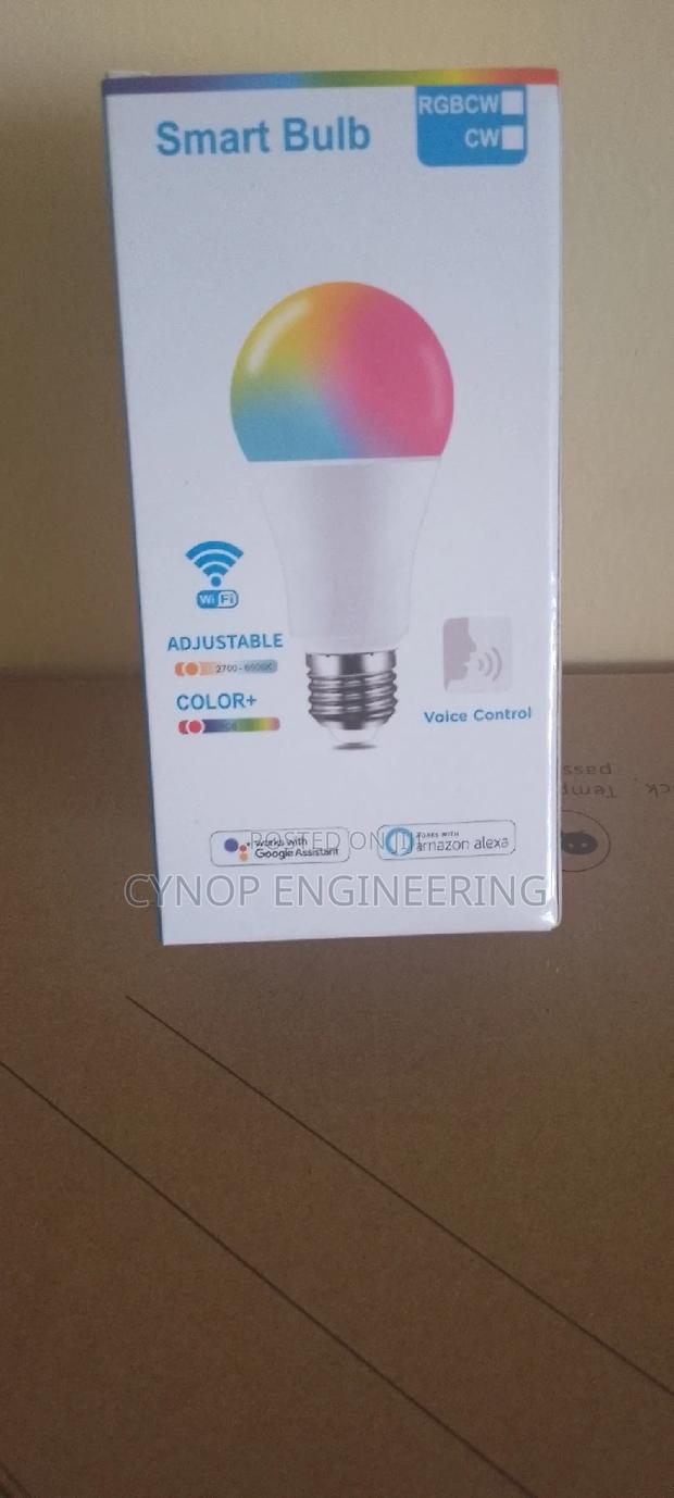 Warm and Cool Adjustable Bulb - main view