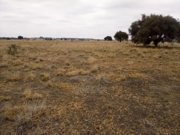 30 Acres of Land for Sale in Kisaju - thumbnail 4