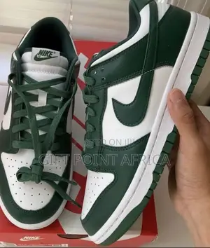 SB Nike Sneakers