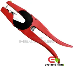Applicator