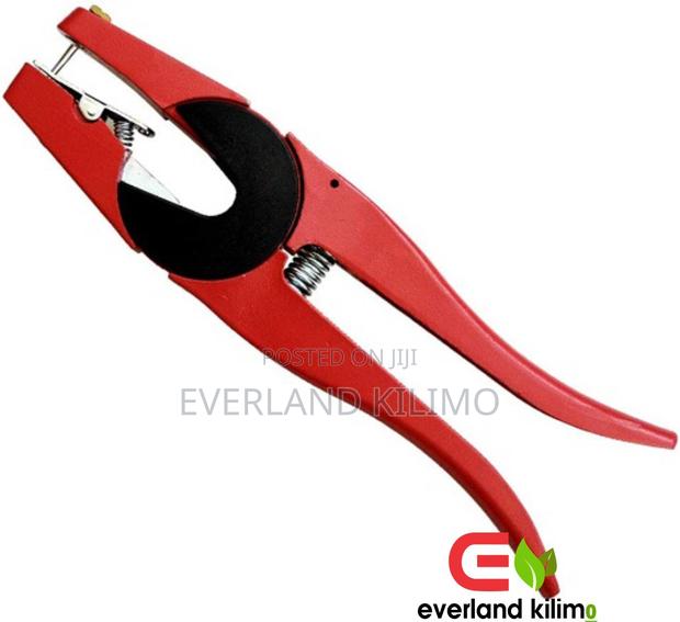 Applicator - main view