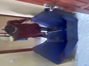 Regular Fumigation and Cleaning Around