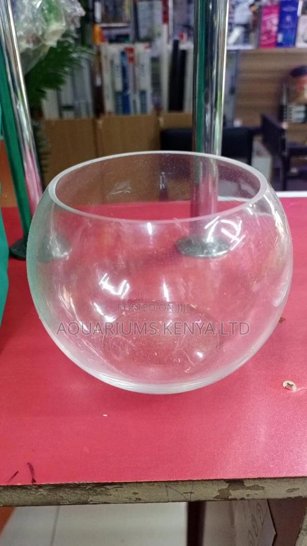 Glass Bowls for Goldfish,Platy Bowls - main view