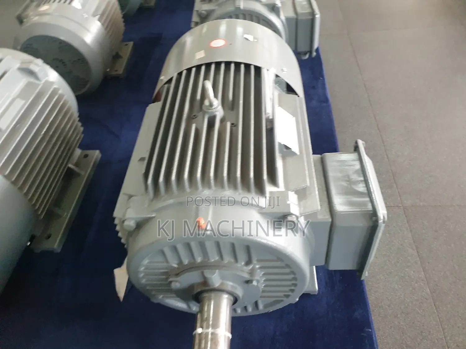 STCL Brand 20hp Motor Italian