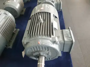 STCL Brand 20hp Motor Italian