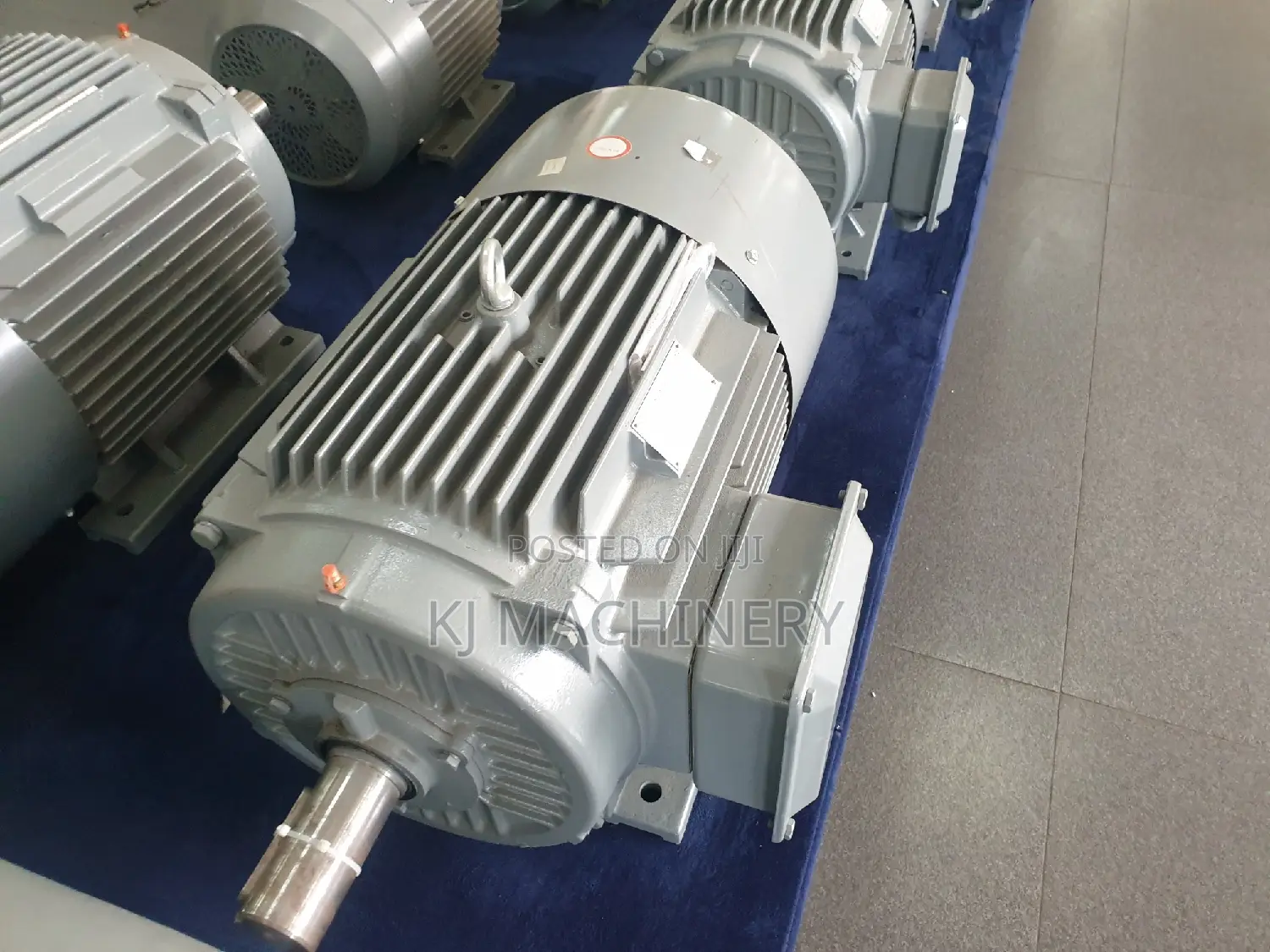 STCL Brand 20hp Motor Italian