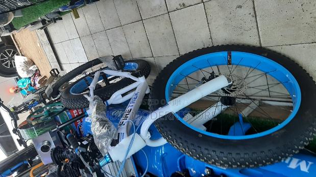 Fat Bike of Your Choice