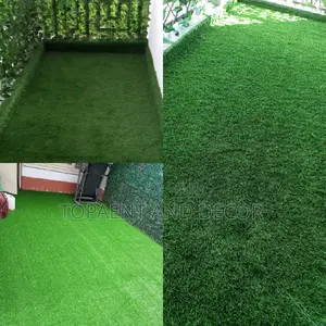 Grass Carpet Grass Carpet Grass Carpet Grass Carpet