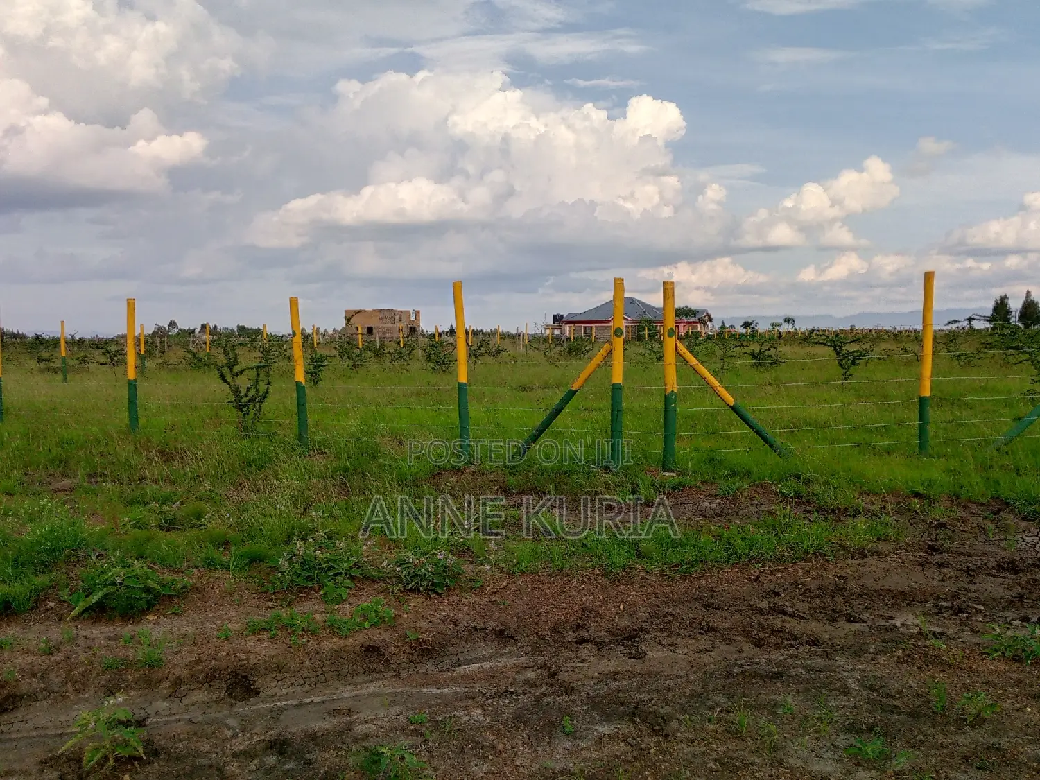 50*100 in Ruiru Mwalimu Farm(Kamakis Gatongora Ward)