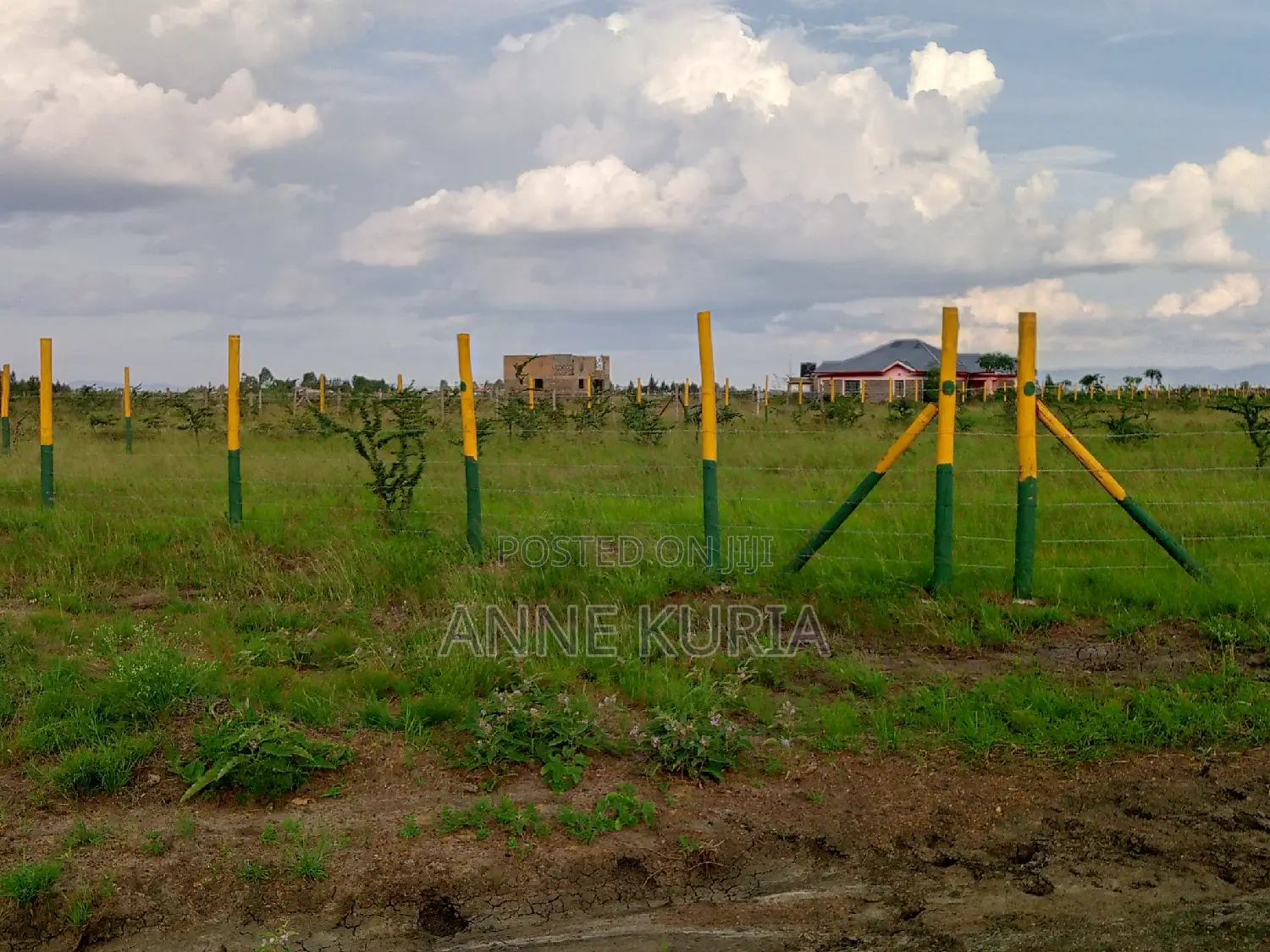 50*100 in Ruiru Mwalimu Farm(Kamakis Gatongora Ward)