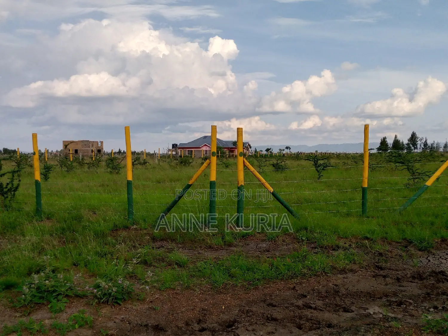 50*100 in Ruiru Mwalimu Farm(Kamakis Gatongora Ward)