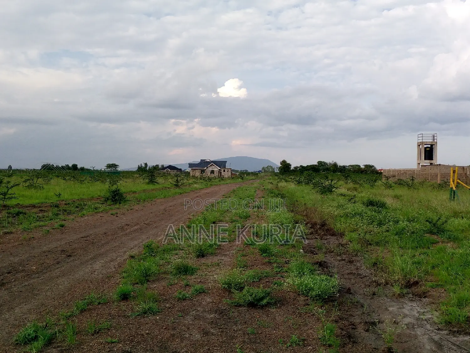 50*100 in Ruiru Mwalimu Farm(Kamakis Gatongora Ward)