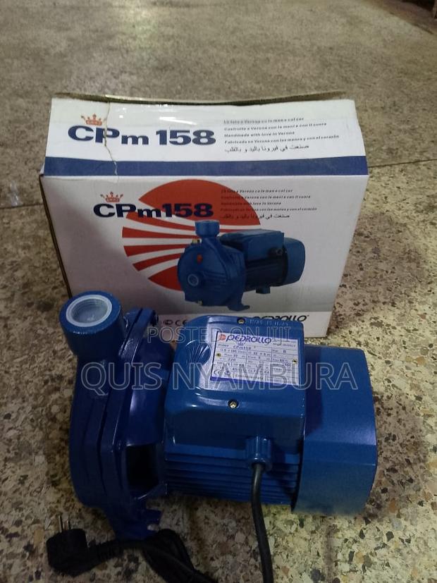 New Pedrollo Water Pump/Cpm158 Pedrollo Pump Machine