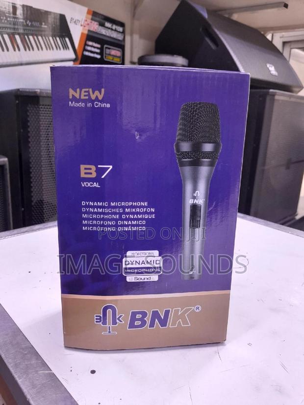 Professional BNK-B7 VOCAL Mic - main view