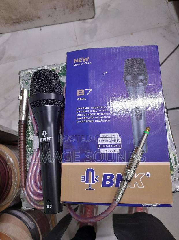 BNK_B7 Microphone - main view