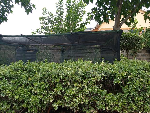 4bdrm Bungalow in Kitengela for rent - thumbnail 5