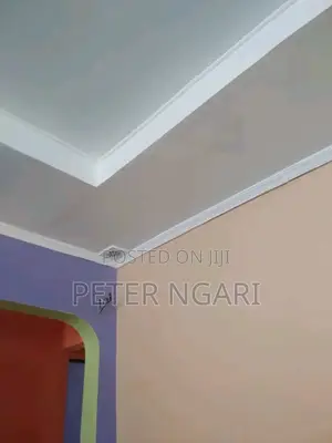 Painter Skimmer