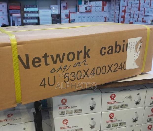 Cabinet 4U* Networking Cabinet