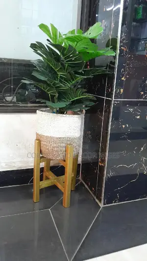Stand Wooden, Basket With Pebbles and Plant