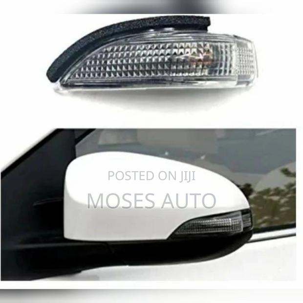 Porter Side Mirror Indicator Light